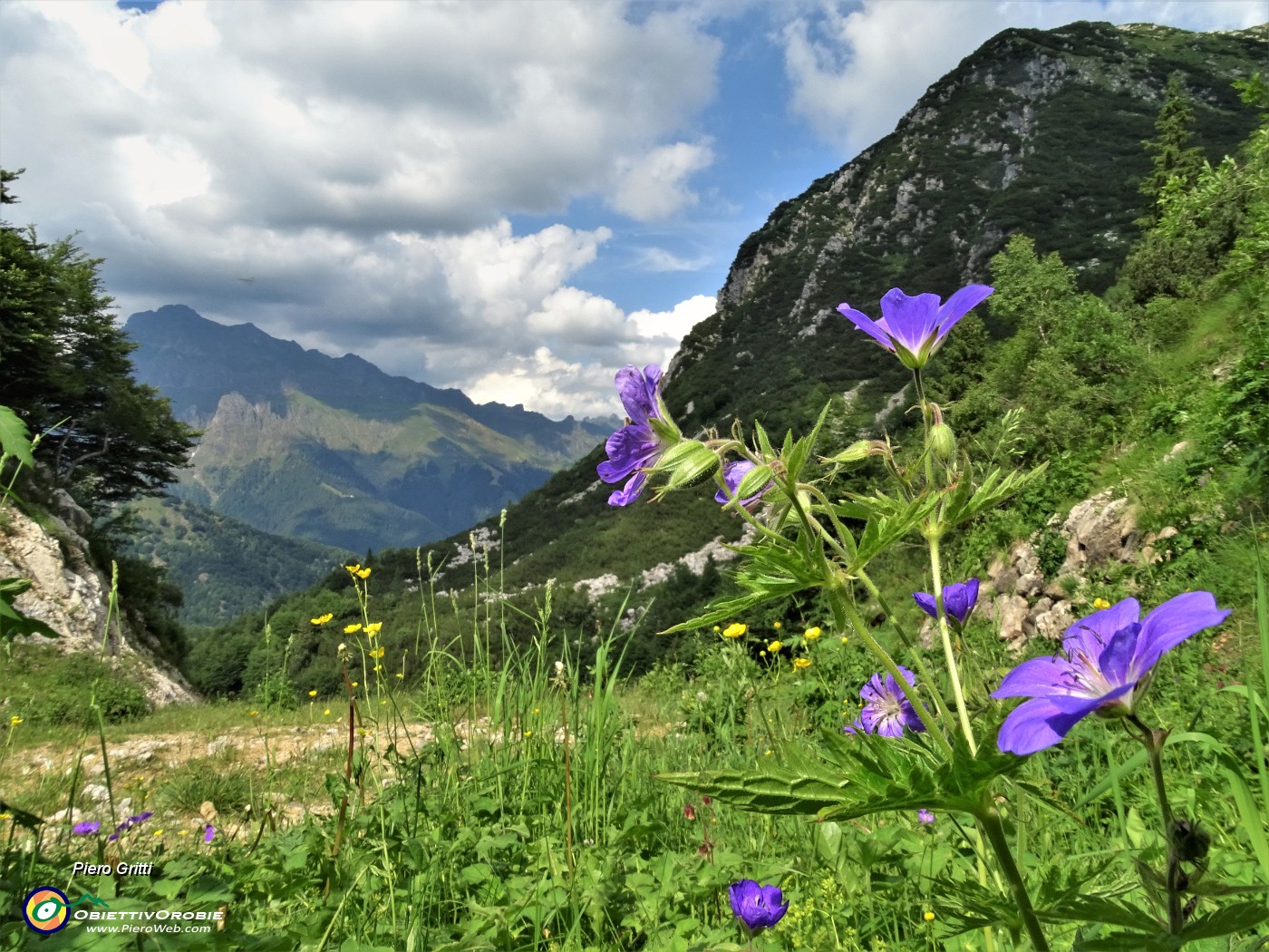 92 Scendendo dai Piani di Bobbio il verde valloncello con vista in Tre Signori.JPG